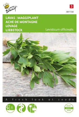 Produktbild von Buzzy Seeds Liebstöckel (Maggiplant) Kräutersamen - 1 Saatgutbeutel