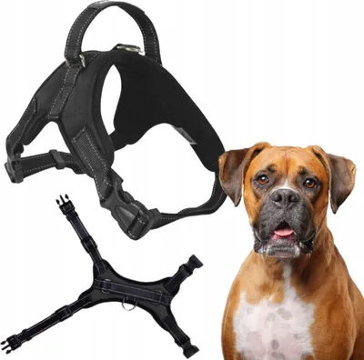 Produktbild von PETSTORY Hundegeschirr L Schwarz Reflektierend