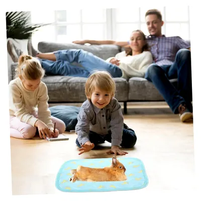Produktbild von 2 Stück Haustier Kühlmatten aus Stoff für Hamster und Kaninchen - Sommer Schlafmatte für Käfig, Sofa und Auto, langlebig und reißfest für kleine Nager