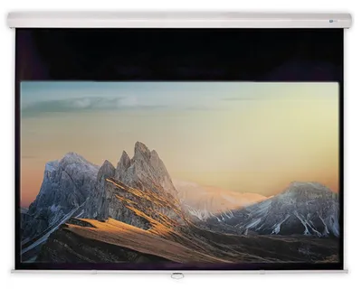 Zdjęcie produktu dla CELEXON DELUXX Advanced Rolloleinwand Slowmotion 4:3 Mattweiss Polaro 234 x 175 cm