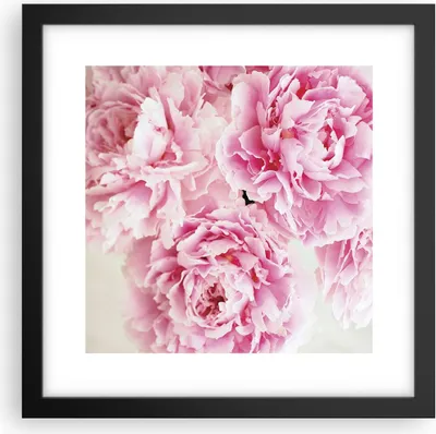 Produktbild von Gerahmtes Poster - Schwarzer Rahmen - Pfingstrosen Blumenstrauß Blumen - 30x30 cm - Wand Bild - Wanddeko - Wandbilder - Kunstposter - Wandposter - Bilderrahmen - Bilder - Kunstdruck - P2BAC30x30-4961