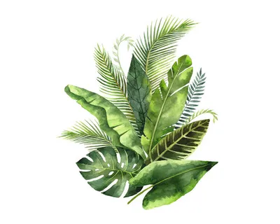 Produktbild von Glasbild Green Leafs IV 50x50 cm