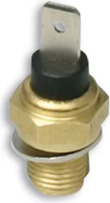 Zdjęcie produktu dla Czujnik termostatu do sterownika Malossi HEAT MASTER 5516096