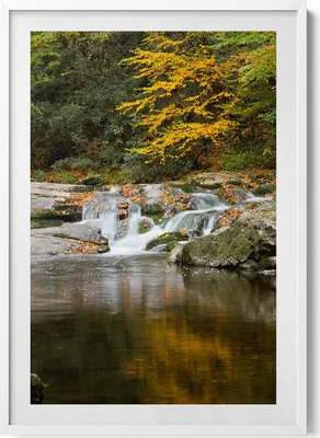Produktbild von Grüne Landschaft an einem Waldbach– Wandbild mit Rahmen – Gerahmtes Bild  – Wanddekoration – 70x100 cm –  Weiß Rahmen