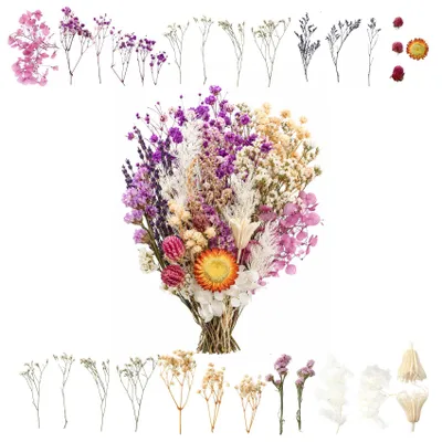 Produktbild von Trockenblumen Set - Natürliche getrocknete Blumen - Für DIY Basteln und Scrapbooking