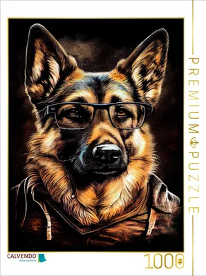 Produktbild von CALVENDO Puzzle Hund Rocky | 1000 Teile Lege-Größe 64x48cm Foto-Puzzle für glückliche Stunden