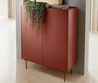 A red cabinet with a hanging plant on top, placed in a room with wooden floors and gray walls.