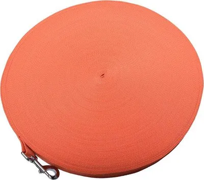 Immagine prodotto di Guinzaglio per cani da 3 m a 70 m - Robusto guinzaglio da addestramento per cani (60 m, arancione)