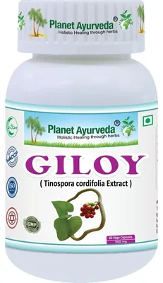Produktbild von Guduchi (Giloy) Kapseln - 500mg, 60 Kapseln
