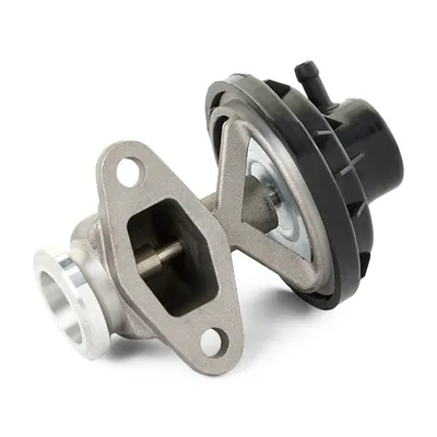Produktbild von RIDEX 1145E0223 AGR-Ventil mit Dichtung für VW Golf V Schrägheck (1K1) Abgasrückführungsventil