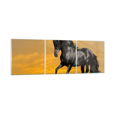 Produktbild von Bilder auf glas - Tiere Pferd Laufen Wiese - 120x40cm - Glasbilder - Wandbilder - Kunstdruck - zum Aufhängen bereit - Wanddekoration aus Glas - Glas Bilder - Wandbild auf Glas - GCA120x40-2248