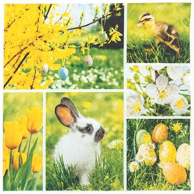 Produktbild von 20 Servietten Easter Collage - Collage für den Frühling 33x33cm