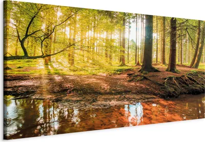 Zdjęcie produktu dla Włoski obraz na płótnie - Jesienna zaduma 70x35 cm Krajobrazy c-B-0174-b-a