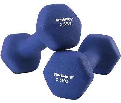 Obrázek produktu pro Sada činek – 2,5 kg na činku – modré barvy – 2 kusy