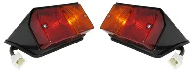 Immagine prodotto di Set completo di fanali posteriori (luci di stop, luci di posizione e indicatori di direzione) per lato sinistro e destro, per trattori, compatibile con Case/IH, Fiat, Ford