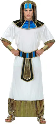 A man wearing an Egyptian pharaoh costume.