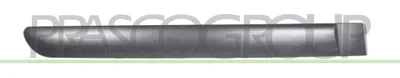 Obrázok produktu pre Prasco - CI3221451 - Citroen - C3 - Model: 10/05 - 08/09 - Lišta dverí, zadné dvere, pravá strana