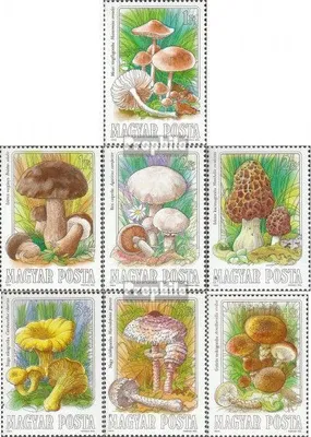 Produktbild von Briefmarken Ungarn 1984 Mi 3708A-3714A (kompl.Ausg.) gestempelt Speisepilze
