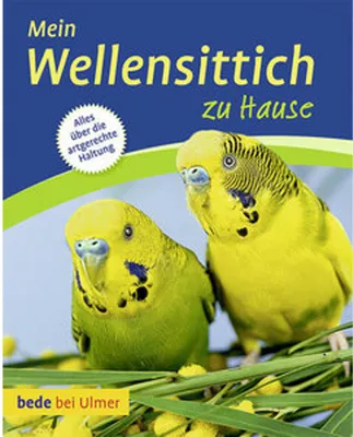 Image de Mein Wellensittich zu Hause