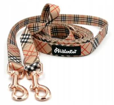 Produktbild von Psiakrew Verstellbare Hundeleine "Psiakrew" 300 cm