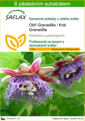 Obrázek produktu pro SAFLAX - Obří Granadilla / Král Granadilla - Passiflora quadrangularis - 12 Semena - S pěstebním substrátem bez klíčků