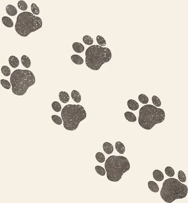 Produktbild von 20 Servietten Paws - Schwarze Pfotenabdrücke 33x33cm