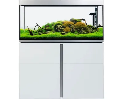 Produktbild von Aquariumkombination Fluval Siena 332 mit LED-Beleuchtung, Heizer, Außenfilter und Unterschrank 332 l Weiß 110 x 55 x 128