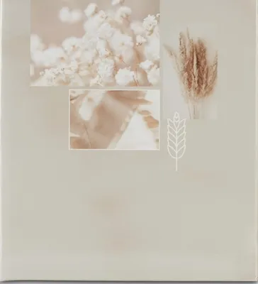 Produktbild von Hama Singo II, Beige, 100 Blätter, 10 x 15, 100 x 150 mm, Weiß, 100 Blätter