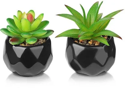 Image de Plantes artificielles, petites plantes artificielles en céramique, plantes décoratives pour le salon et la chambre à coucher (noir)