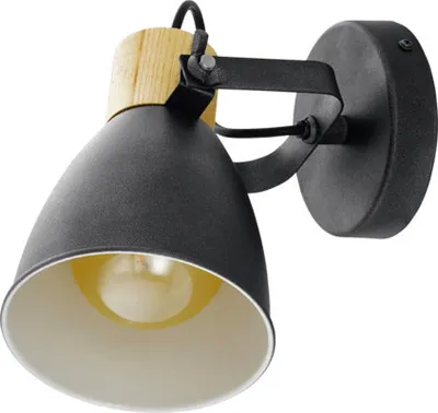 Obrázok produktu pre Bodové osvetlenie Eglo Coswarth 901174 E27 25W antracit/krémové