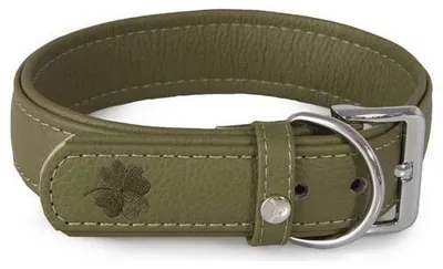 Produktbild von Das Lederband Hundehalsband Glückshund Capers/Capers, Länge: 40 cm