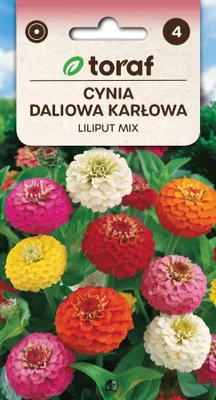 Zdjęcie produktu dla Cynia daliowa karłowa LILIPUT MIX Nasiona kwiatów 480 Toraf