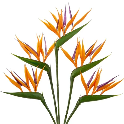 Künstliche Paradiesvogelblumen, 5 Stück, 60 cm, Kunstpflanzen