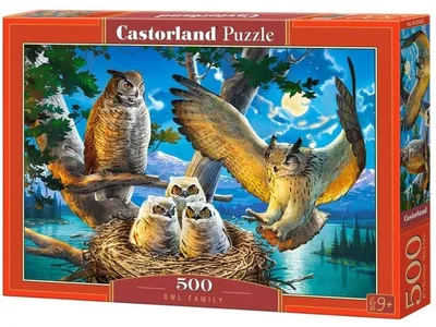 Produktbild von Castorland Owl Family 500 pcs, 500 Stück(e), Tiere, 9 Jahr(e)