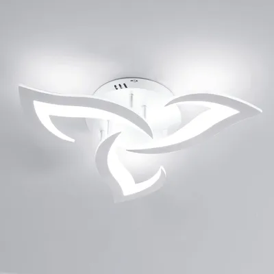 Immagine prodotto di SENQIU Lampada da soffitto a LED, design moderno, 36W, luce bianca fredda 6500K – Argento, 36W, 6500K