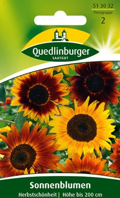 Produktbild von Quedlinburger Sonnenblumen Herbstschönheit - Blumensamen