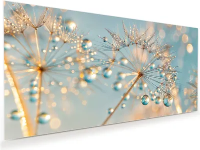 Produktbild von Glasbild 80x40cm in XXL für Wohnzimmer, Schlafzimmer Motiv Pusteblume Wassertropfen