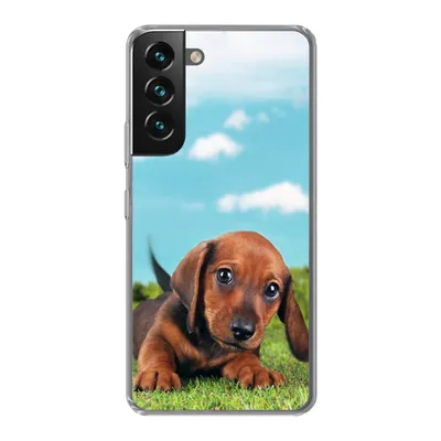 Produktbild von MuchoWow® Handyhülle Schutzhülle Hülle für Samsung Galaxy S22 Schöner Himmel über einem niedlichen Dackelwelpen Silikon Softcase Handy Hülle - Mobiltelefonhülle