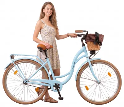 Produktbild von Dallas Bike Fahrrad Mit Weidenkorb - Damenfahrrad 28 Zoll - 1-Gang Rücktritt - Rahmen M 18" - Blau-Braun