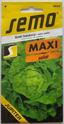 Produktbild von SEMO: Kopfsalat - Sommersalat, Feldanbau 3833