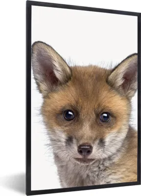 Produktbild von MuchoWow® Gerahmtes Poster Fuchs - Tiere - Jungtier - Jungen - Mädchen - Kind 20x30 cm - Poster mit Schwarzem Bilderrahmen Wandposter Rahmen Foto Bilder - Drucken - Bilder Poster im Rahmen