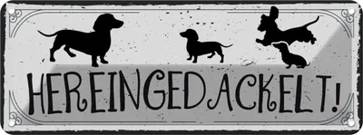 Produktbild von vianmo Blechschild 10x27 cm Hereingedackelt!