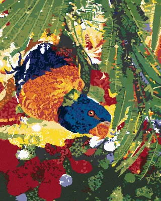 Produktbild von Zuty - Malen nach Zahlen - PAPAGEI MIT DEM KOPF NACH UNTEN, 40x50 cm, mit Keilrahmen (bereits gespannt)