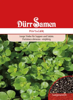 Produktbild von Dürr-Samen - Portulak - Saatgut - 0165