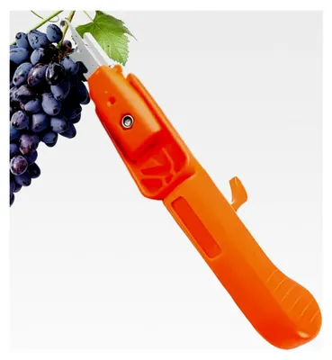 Produktbild von Gartenschere zum Beschneiden von Pflanzen und Obstpflücker