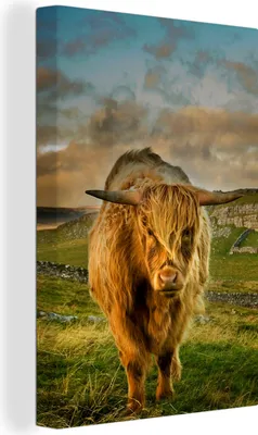 Produktbild von OneMillionCanvasses® - Leinwandbilder - 90x140 cm, Schottisches Hochlandrind - Gras - Berg, Wandbilder Wohnzimmer Hochland Rind - Tier Wanddekoration - Hochland Rind - Kuh - Gemälde auf Holzrahmen  - Wandschmucke - Schlafzimmer