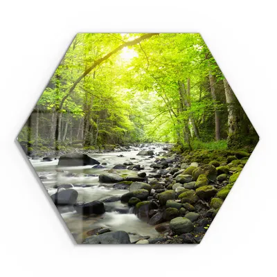 Produktbild von DEQORI Glasbild Echtglas 55x48 cm 'Steiniges Flussbett' Wandbild Bild modern Deko