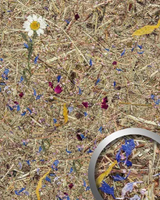 Immagine prodotto di Pannello murale autoadesivo WallFace NATURAL AL-11005 con decorazione naturale in rilievo bianco marrone opaco 4,15 m2