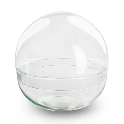 Obrázek produktu pro Terarijní skleněná kopule "Dome" - dvoudílná - Ø20cm ↕20cm - Kulatá skleněná láhev z recyklovaného skla - Ideální pro terária pro kutily a mini ekosystémy - objem cca 4 litry