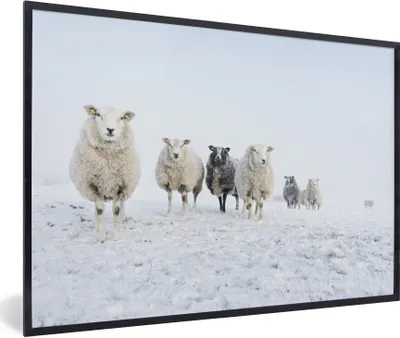 Produktbild von MuchoWow® Gerahmtes Poster Schafe - Wolle - Schnee 30x20 cm - Poster mit Schwarzem Bilderrahmen Wandposter Rahmen Foto Bilder - Kunstdruck - Bild-Poster